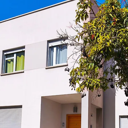 Terrace Serenity * 大加那利岛拉斯帕尔马斯